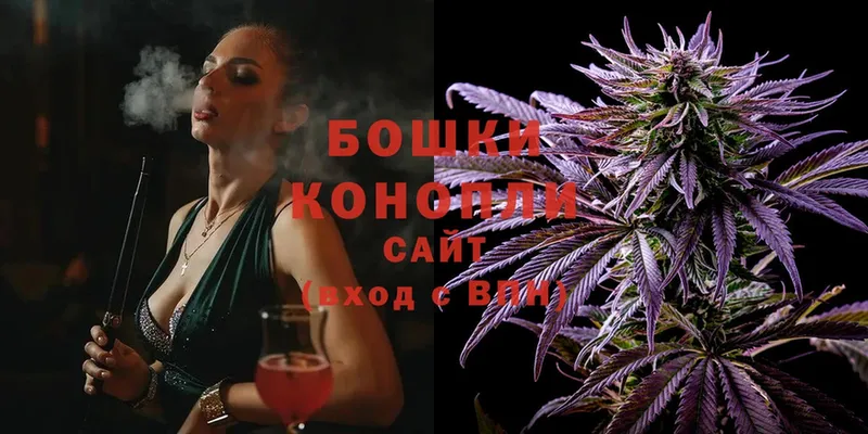 Конопля SATIVA & INDICA  Жиздра 